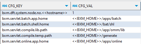 common config initialization